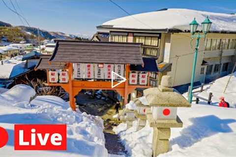 Japan LIVE Sapporo Hokkaido Random Snow Wandering【1440P】