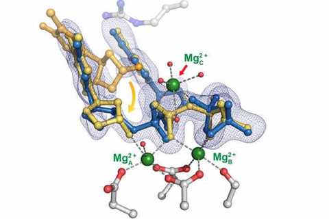 DNA mystery may be crystal clear