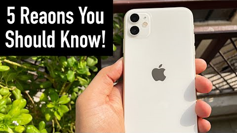iPhone 11 in 2022 | Best iPhone For 30K? | Based on iPhone 11 Long Term Review (HINDI)
