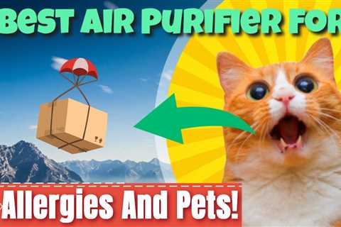 Best Air Purifier Best Air Purifier For Allergies And Pets !Amazing!