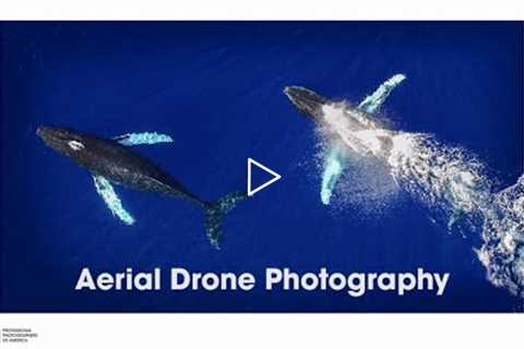 PPAedu Preview: Aerial Drone Photography: Where Do I Begin?