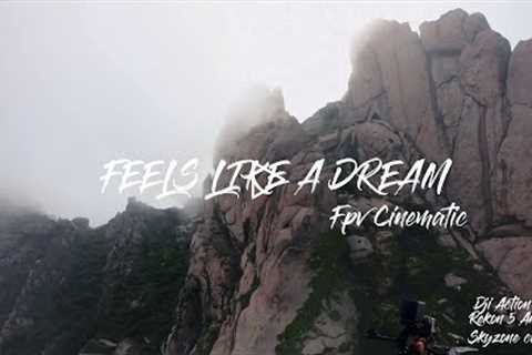 Feels like a dream  Fpv drone cinematic|Dji Action 2| Rekon 5 Analog | Fog