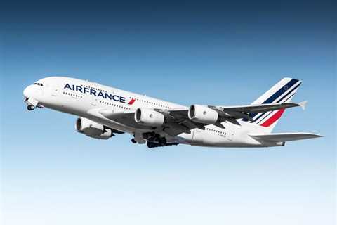 Air France Announces End to Research Monkey Transport