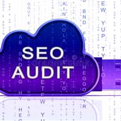 The Definitive Guide for Crawling & Site Audits - SEO Resources For All Skill Levels 