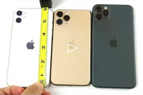 Which Size iPhone 11 Should You Buy?