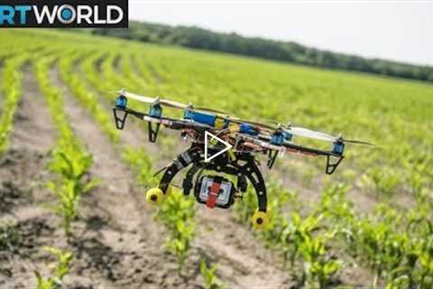 Nigerian farmers use drone technology to boost production | Money Talks