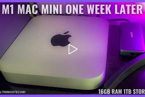 Apple M1 Mac Mini One Week Later - How Has It Been So Far🤔