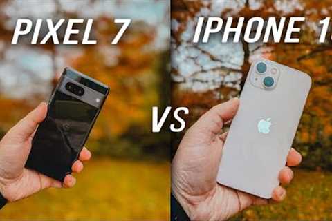 Pixel 7 vs iPhone 13 : le comparatif PHOTO