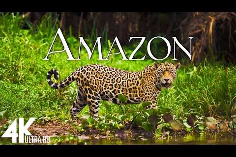 FLYING OVER AMAZON (4K Video UHD) - Scenic Relaxation Film With Inspiring Music