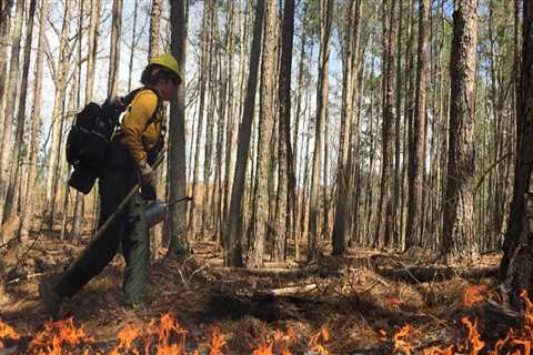 Exploring the Environmental Impact of Central Georgia's Natural Resources