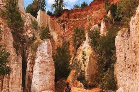 Exploring Educational Programs to Promote Awareness of Central Georgia's Natural Resources