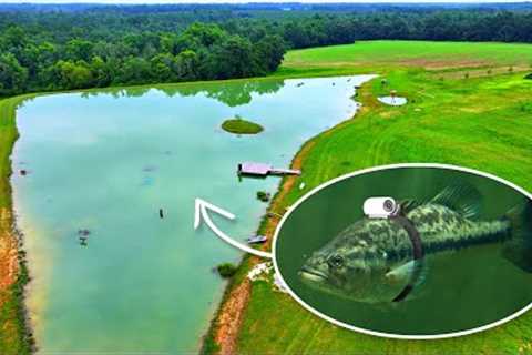 Strapping a Tiny Camera on a Bass! (Underwater Footage of 5 Acre Pond)