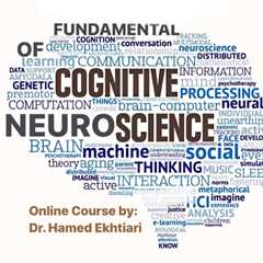 What is Cognitive Neuroscience?
