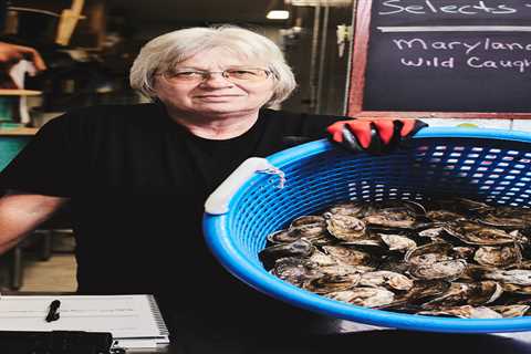 Oyster fight: The humble sea creature could hold the key to restoring coastal waters. Developers..