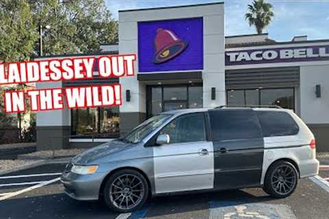 The Plaidessey''s First Drive to Taco Bell