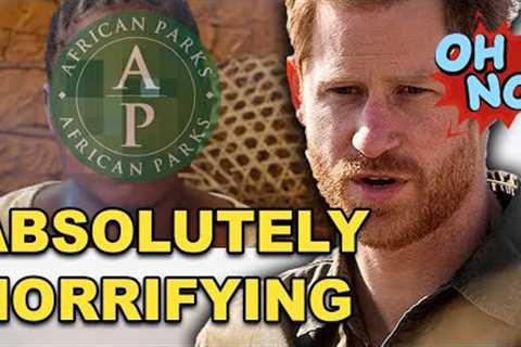 Humanitarian? ''PHILANTHROPIST'' PRINCE Harry accused of supporting VIOLENT CRIMINALS in Africa