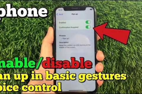 How to enable or disable pan up in basic gestures voice control on iPhone X