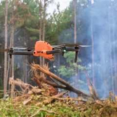 Can Drones Be Used for Early Detection of Forest Fires?