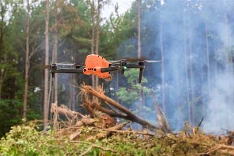 Can Drones Be Used for Early Detection of Forest Fires?