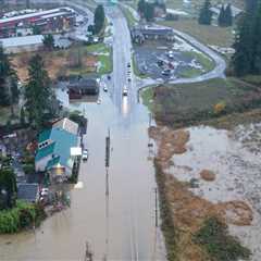 The Impact of Weather on Public Transportation in Southwest Washington: An Expert's Perspective