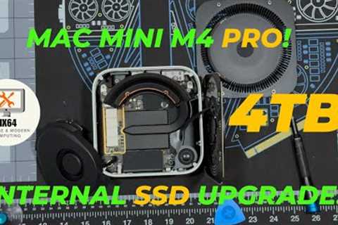 M4 Pro Mac Mini 3rd Party SSD! How to do a DIY install!