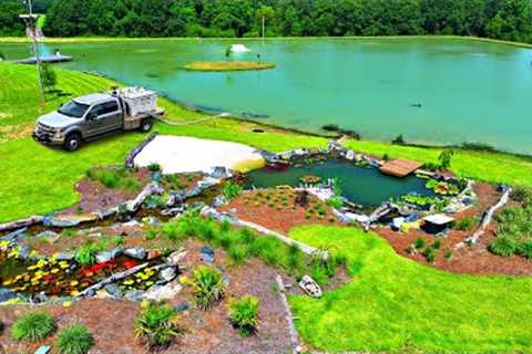 Adding 3,000 Fish to the 5 Acre Pond!