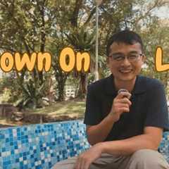 The Feeling of Everything Working Against Me: Riding the Ups & Downs of Life