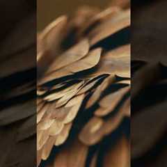 Stay tuned. Episode 2 of #FerrariUnpacked drops tomorrow. #Ferrari