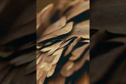 Stay tuned. Episode 2 of #FerrariUnpacked drops tomorrow. #Ferrari