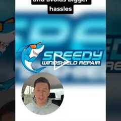 Is it worth fixing rock chips in Kearny Mesa? #Shorts