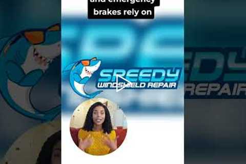 How much does ADAS calibration cost in Mission Beach? #Shorts