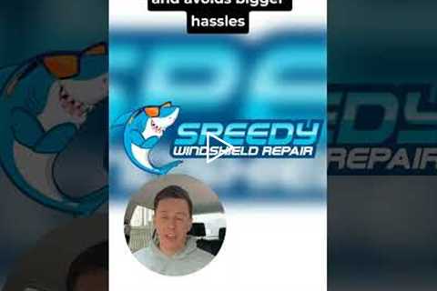 Is it worth fixing rock chips in Kearny Mesa? #Shorts